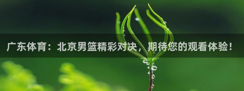 广东体育：北京男篮精彩对决，期待您的观看体验！