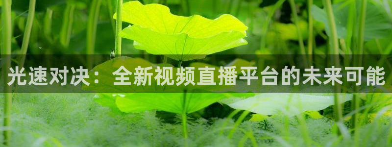 光速对决：全新视频直播平台的未来可能